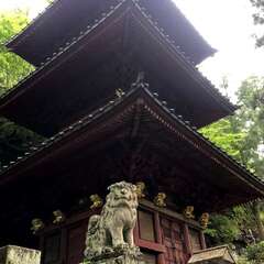 投稿日:2025年5月29日 写真