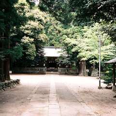 投稿日:2025年10月16日 写真