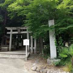 投稿日:2024年7月28日 写真