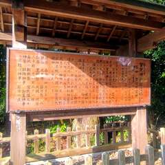 投稿日:2025年7月6日 写真