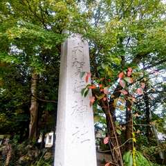 投稿日:2025年10月22日 写真