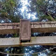 投稿日:2025年10月22日 写真