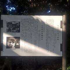 投稿日:2025年7月6日 写真