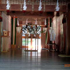 投稿日:2025年6月14日 写真