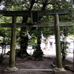 投稿日:2025年5月31日 写真