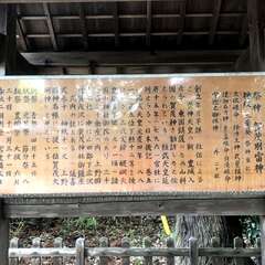 投稿日:2025年5月31日 写真