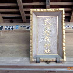 投稿日:2025年6月14日 写真