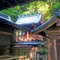 投稿日:2025年7月6日 写真