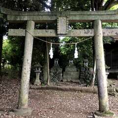 投稿日:2025年5月31日 写真