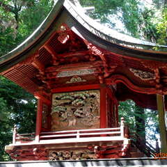 投稿日:2025年6月14日 写真