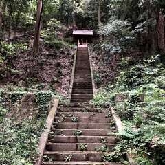 投稿日:2025年5月31日 写真