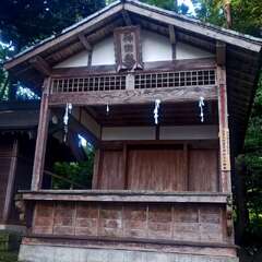 投稿日:2025年7月6日 写真