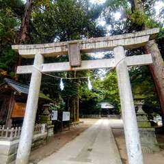 投稿日:2025年10月22日 写真