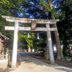 投稿日:2025年7月6日 写真