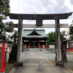 写真