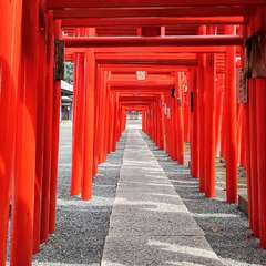 投稿日:2020年8月10日 写真