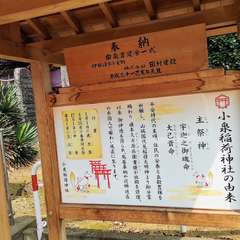 投稿日:2020年8月10日 写真