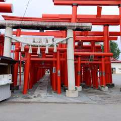 投稿日:2019年10月20日 写真