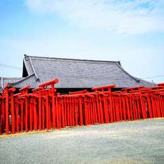 投稿日:2020年8月10日 写真