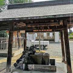 投稿日:2020年8月10日 写真