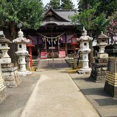 投稿日:2020年8月10日 写真