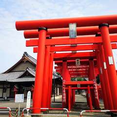 投稿日:2020年8月10日 写真