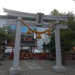 写真