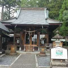 写真