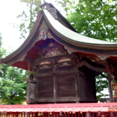 写真