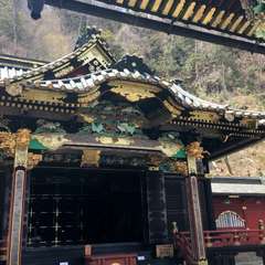 投稿日:2017年4月12日 写真