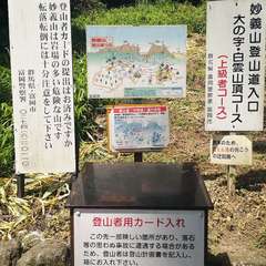 投稿日:2021年7月25日 写真