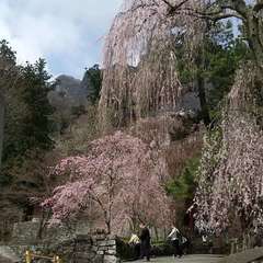 投稿日:2024年6月3日 写真
