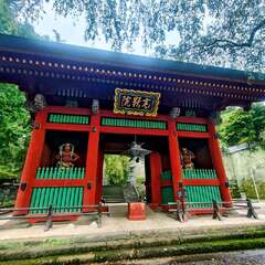 投稿日:2025年9月15日 写真