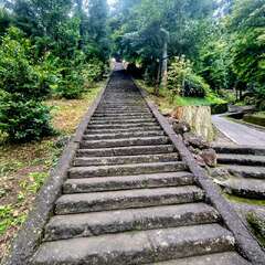 投稿日:2025年9月15日 写真