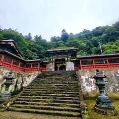 投稿日:2025年9月15日 写真