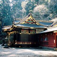 投稿日:2025年9月6日 写真