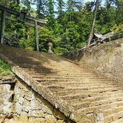 投稿日:2021年7月25日 写真