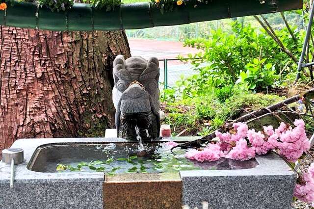 写真