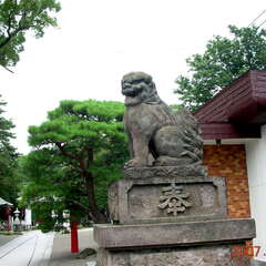 玉村八幡宮(投稿日:2025年10月25日) 写真