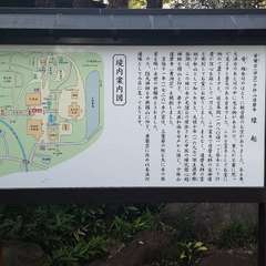 投稿日:2021年7月25日 写真