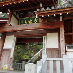 投稿日:2024年4月13日 写真