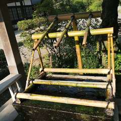 投稿日:2021年7月25日 写真