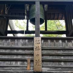 投稿日:2021年7月25日 写真