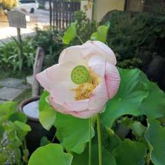 投稿日:2021年7月25日 写真