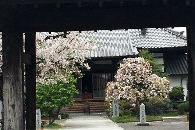 写真