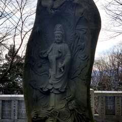 投稿日:2025年8月15日 写真