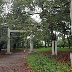 投稿日:2020年10月22日 写真