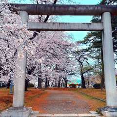 投稿日:2022年3月30日 写真