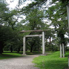 投稿日:2024年7月3日 写真