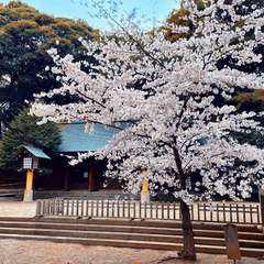 投稿日:2022年3月30日 写真